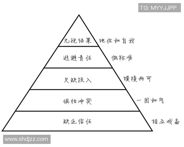 上海排球队在杯赛中的灵活战术表现与团队协作分析 上海排球队在杯赛中的灵活战术表现与团队协作分析