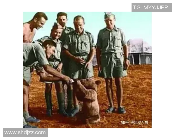 伊朗足球明星队员巴的传奇故事与辉煌成就揭秘 伊朗足球明星队员巴的传奇故事与辉煌成就揭秘