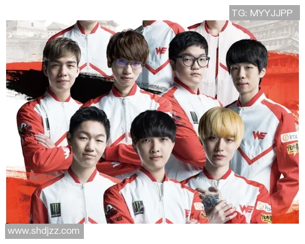 职业联赛特别报道：WE战队的拼搏历程与荣耀之路