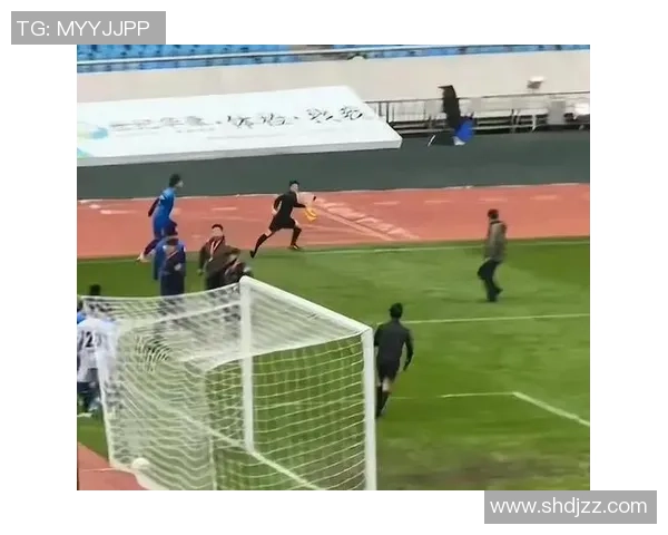 裁判判罚引发争议球迷怒斥足球裁判公正性亟待提升