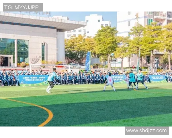 绿茵场上的激情与梦想足球运动的魅力与精神之旅