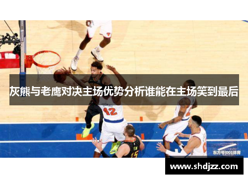 灰熊与老鹰对决主场优势分析谁能在主场笑到最后