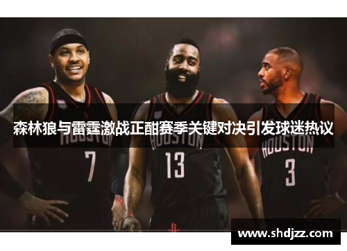 森林狼与雷霆激战正酣赛季关键对决引发球迷热议